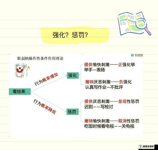 如何选择惩罚工具：深入探讨多种可行方式与适用场景